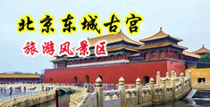 日韩骚骚骚夜里骚中国北京-东城古宫旅游风景区